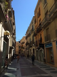 img_1431.jpg